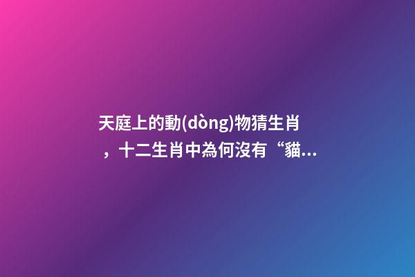 天庭上的動(dòng)物猜生肖，十二生肖中為何沒有“貓”這一屬相
